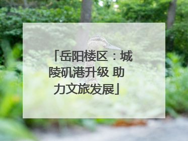岳阳楼区：城陵矶港升级 助力文旅发展
