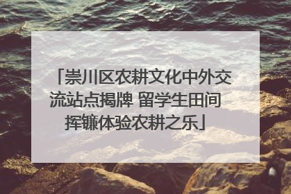 崇川区农耕文化中外交流站点揭牌 留学生田间挥镰体验农耕之乐