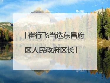 崔行飞当选东昌府区人民政府区长