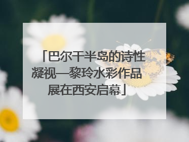 巴尔干半岛的诗性凝视—黎玲水彩作品展在西安启幕