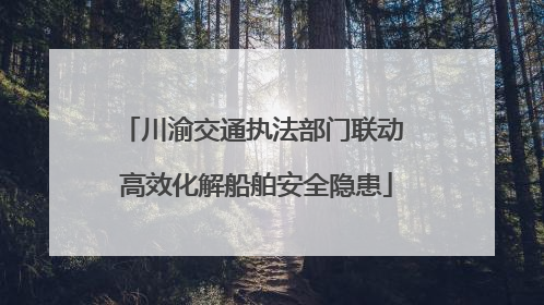 川渝交通执法部门联动 高效化解船舶安全隐患