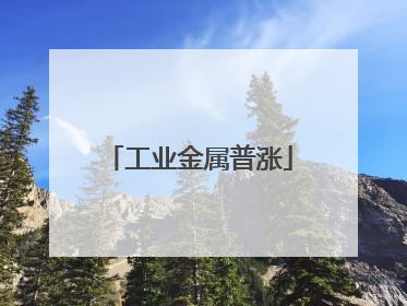 工业金属普涨