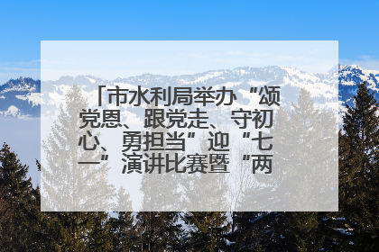 市水利局举办“颂党恩、跟党走、守初心、勇担当”迎“七一”演讲比赛暨“两优一先”表彰活动