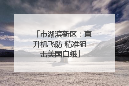 市湖滨新区：直升机飞防 精准狙击美国白蛾