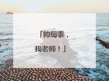 帅蜀黍，我老师！
