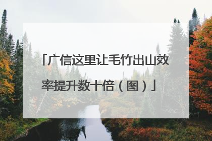 广信这里让毛竹出山效率提升数十倍（图）