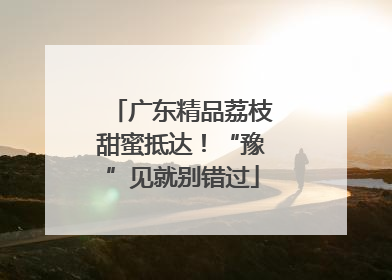 广东精品荔枝甜蜜抵达！“豫”见就别错过