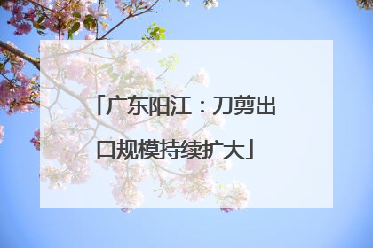 广东阳江：刀剪出口规模持续扩大