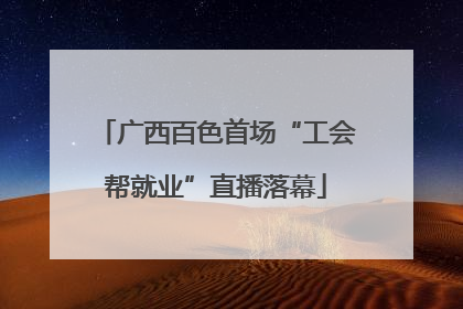 广西百色首场“工会帮就业”直播落幕