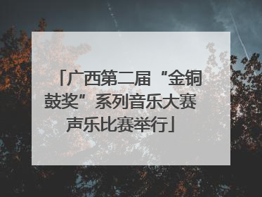 广西第二届“金铜鼓奖”系列音乐大赛声乐比赛举行