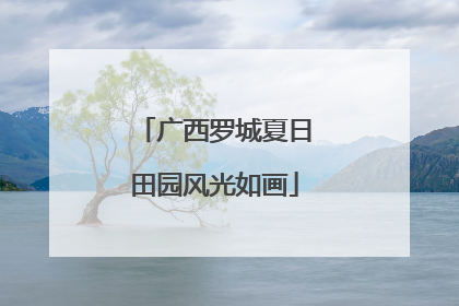 广西罗城夏日田园风光如画