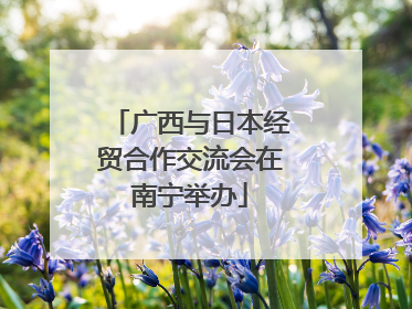 广西与日本经贸合作交流会在南宁举办