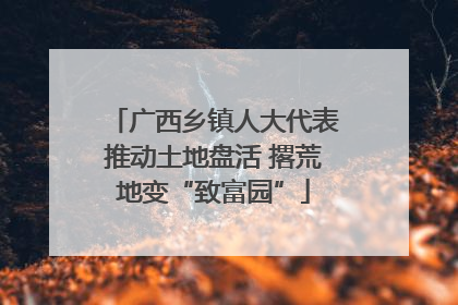 广西乡镇人大代表推动土地盘活 撂荒地变“致富园”