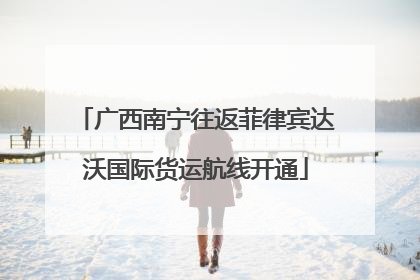 广西南宁往返菲律宾达沃国际货运航线开通