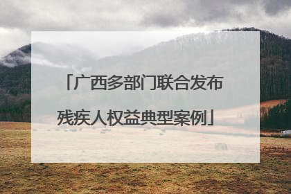 广西多部门联合发布残疾人权益典型案例