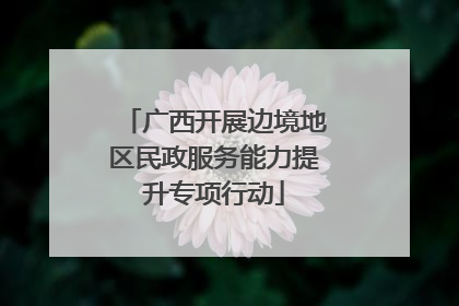 广西开展边境地区民政服务能力提升专项行动