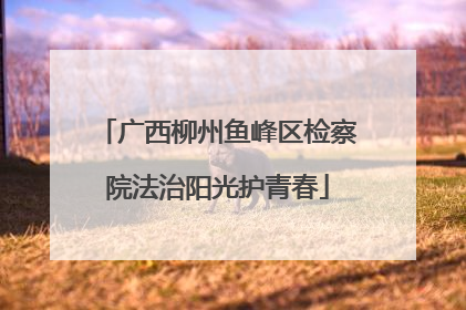 广西柳州鱼峰区检察院法治阳光护青春