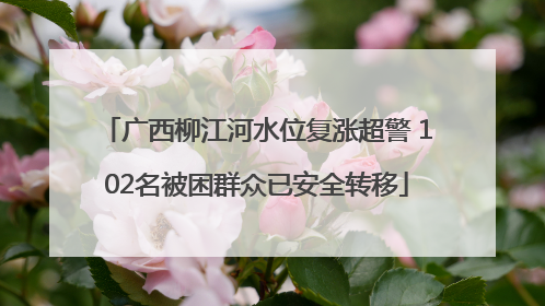 广西柳江河水位复涨超警 102名被困群众已安全转移