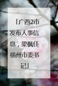 广西2市发布人事信息，梁枫任横州市委书记