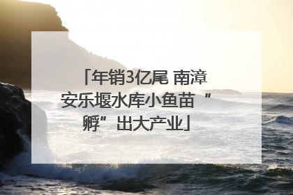 年销3亿尾 南漳安乐堰水库小鱼苗“孵”出大产业