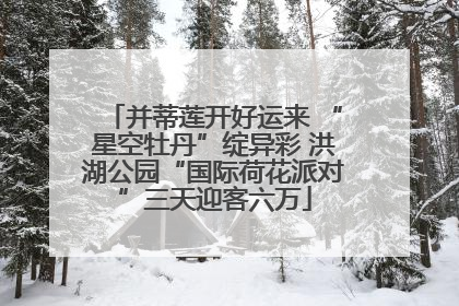 并蒂莲开好运来 “星空牡丹”绽异彩 洪湖公园“国际荷花派对”三天迎客六万