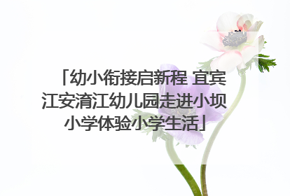 幼小衔接启新程 宜宾江安淯江幼儿园走进小坝小学体验小学生活