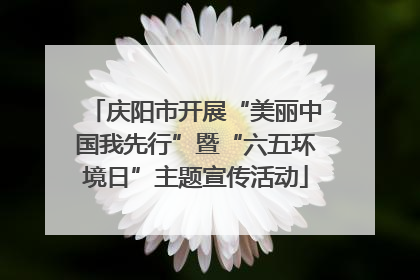 庆阳市开展“美丽中国我先行”暨“六五环境日”主题宣传活动