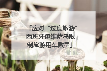应对“过度旅游” 西班牙伊维萨岛限制旅游用车数量