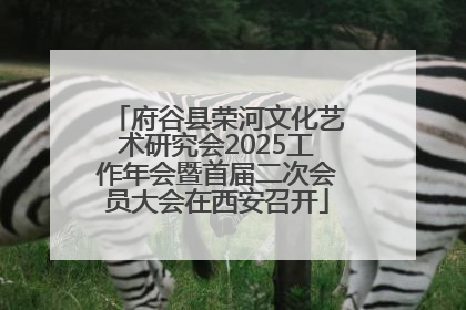 府谷县荣河文化艺术研究会2025工作年会暨首届二次会员大会在西安召开