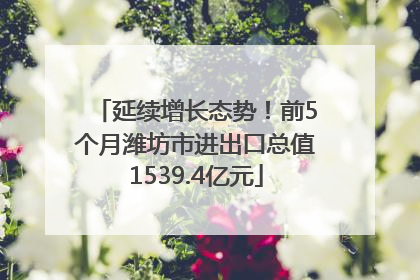 延续增长态势！前5个月潍坊市进出口总值1539.4亿元