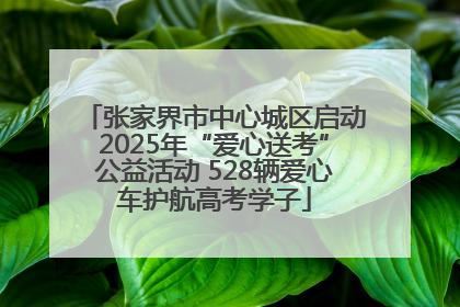 张家界市中心城区启动2025年“爱心送考”公益活动 528辆爱心车护航高考学子