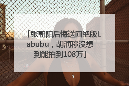 张朝阳后悔送回绝版Labubu，胡润称没想到能拍到108万