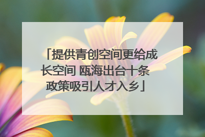 提供青创空间更给成长空间 瓯海出台十条政策吸引人才入乡