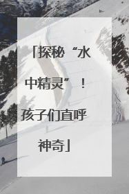 探秘“水中精灵”！孩子们直呼神奇