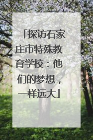探访石家庄市特殊教育学校：他们的梦想，一样远大