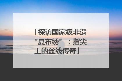 探访国家级非遗“夏布绣”：指尖上的丝线传奇