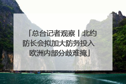 总台记者观察丨北约防长会拟加大防务投入 欧洲内部分歧难掩