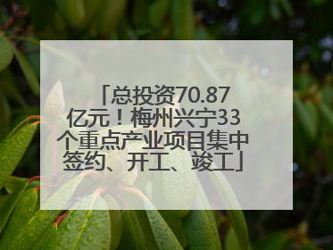 总投资70.87亿元！梅州兴宁33个重点产业项目集中签约、开工、竣工