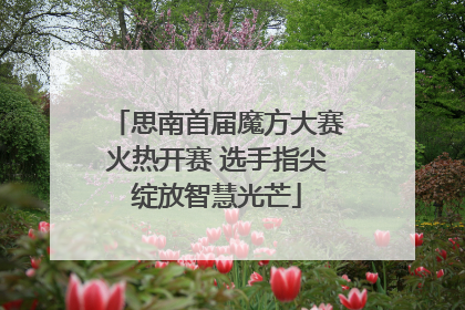 思南首届魔方大赛火热开赛 选手指尖绽放智慧光芒