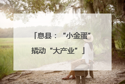息县：“小金蛋”撬动“大产业”