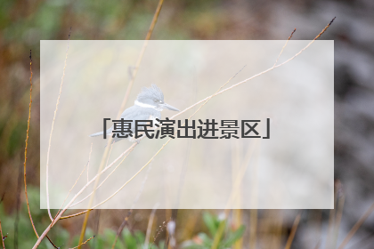 惠民演出进景区