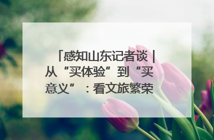 感知山东记者谈｜从“买体验”到“买意义”：看文旅繁荣背后的幸福新定义