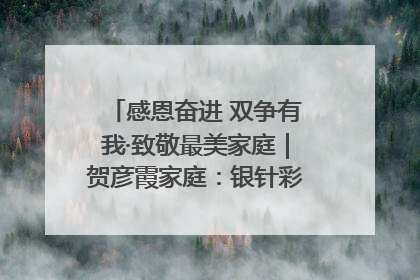 感恩奋进 双争有我·致敬最美家庭｜贺彦霞家庭：银针彩线绣出好日子