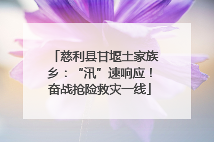 慈利县甘堰土家族乡：“汛”速响应！奋战抢险救灾一线