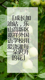 成长加油站，乐山高新区嘉祥外国语学校用爱浇灌每一朵迟开的花