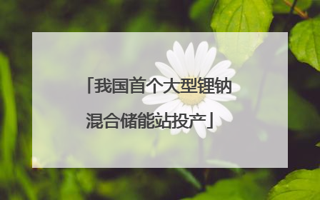 我国首个大型锂钠混合储能站投产