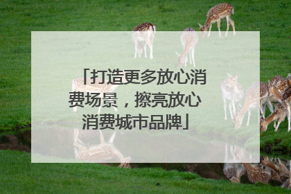 打造更多放心消费场景，擦亮放心消费城市品牌