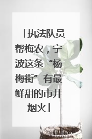 执法队员帮梅农，宁波这条“杨梅街”有最鲜甜的市井烟火