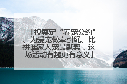 投票定“养宠公约”、为爱宠做牵引绳、比拼谁家人宠最默契，这场活动有趣更有意义