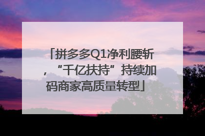 拼多多Q1净利腰斩，“千亿扶持”持续加码商家高质量转型